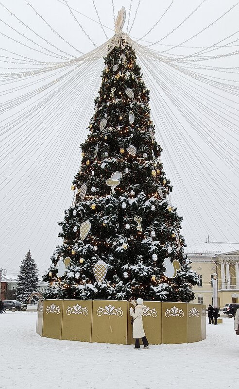 Владимир новогодний - Галина R...