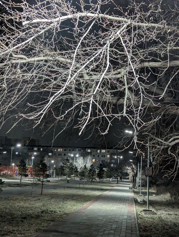 Ночной город - Андрей Хлопонин