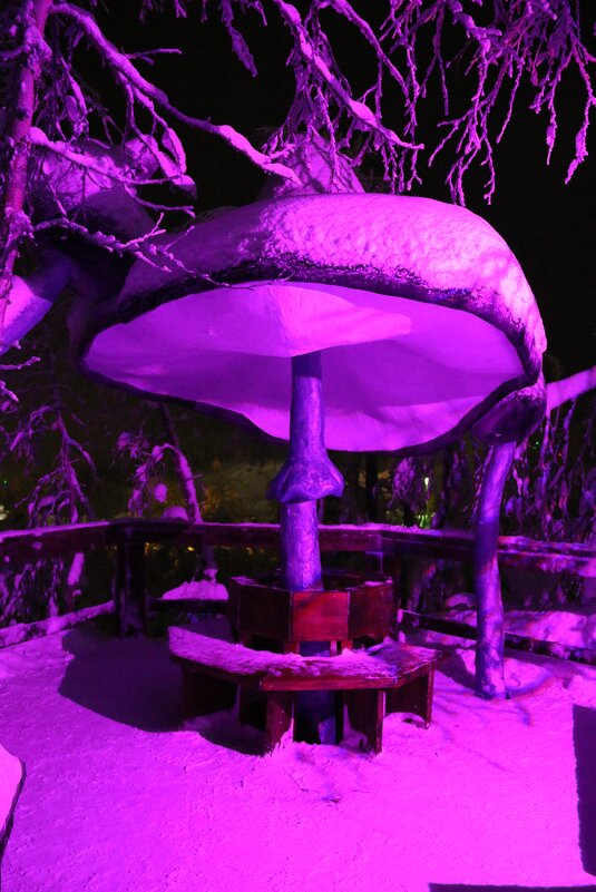 Грибочки Таинственного леса - Ольга 