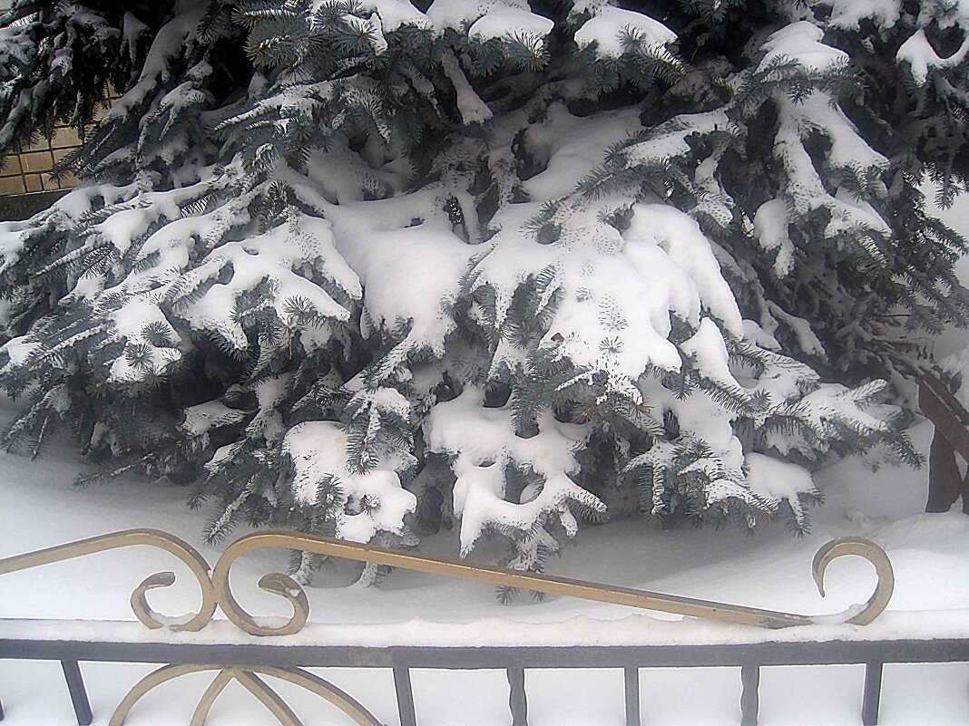 Зимнее - Елена Семигина