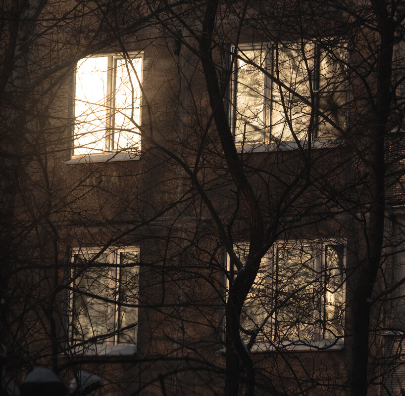 Контраст - Михаил К