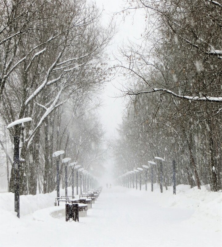 Метель - Лариса С.