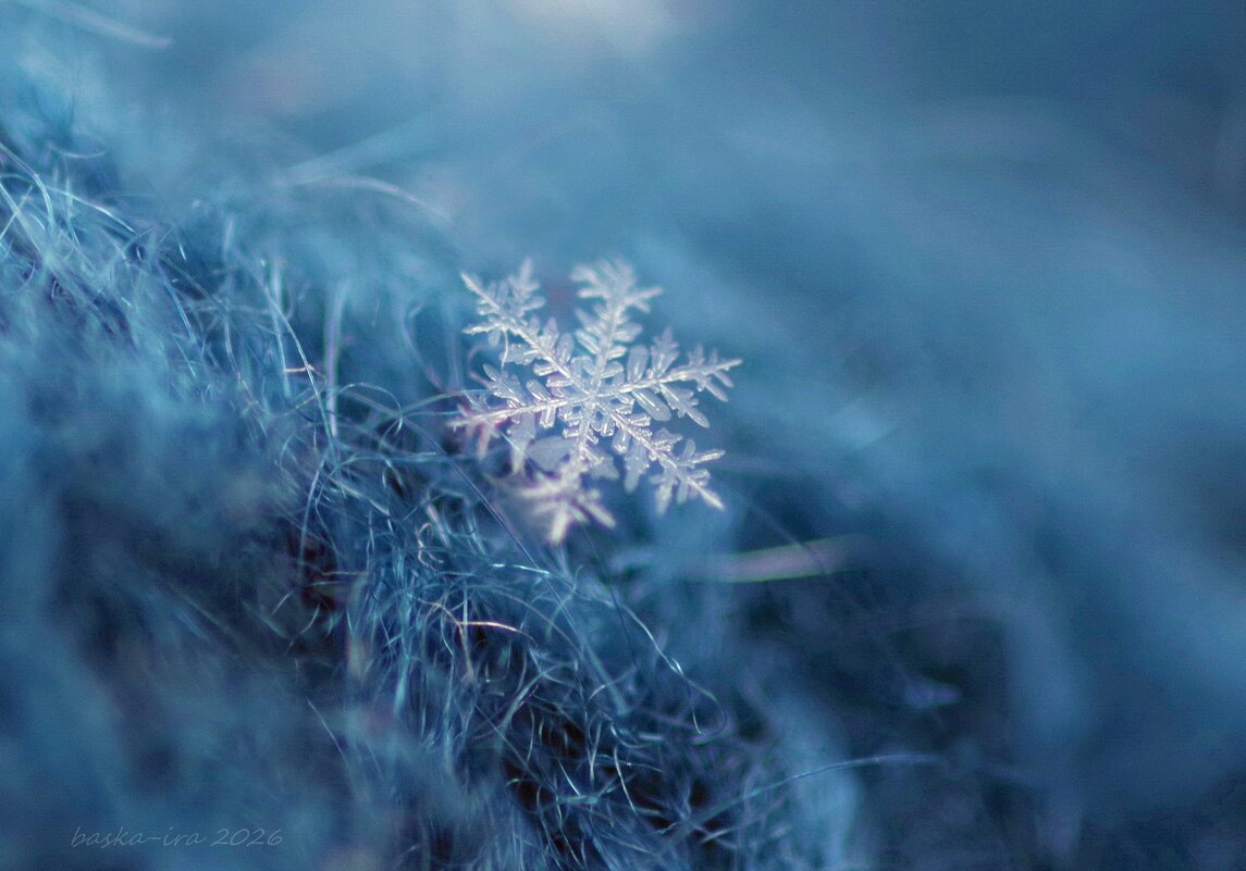 Снежинка почти невидимка - Ирина Баскакова