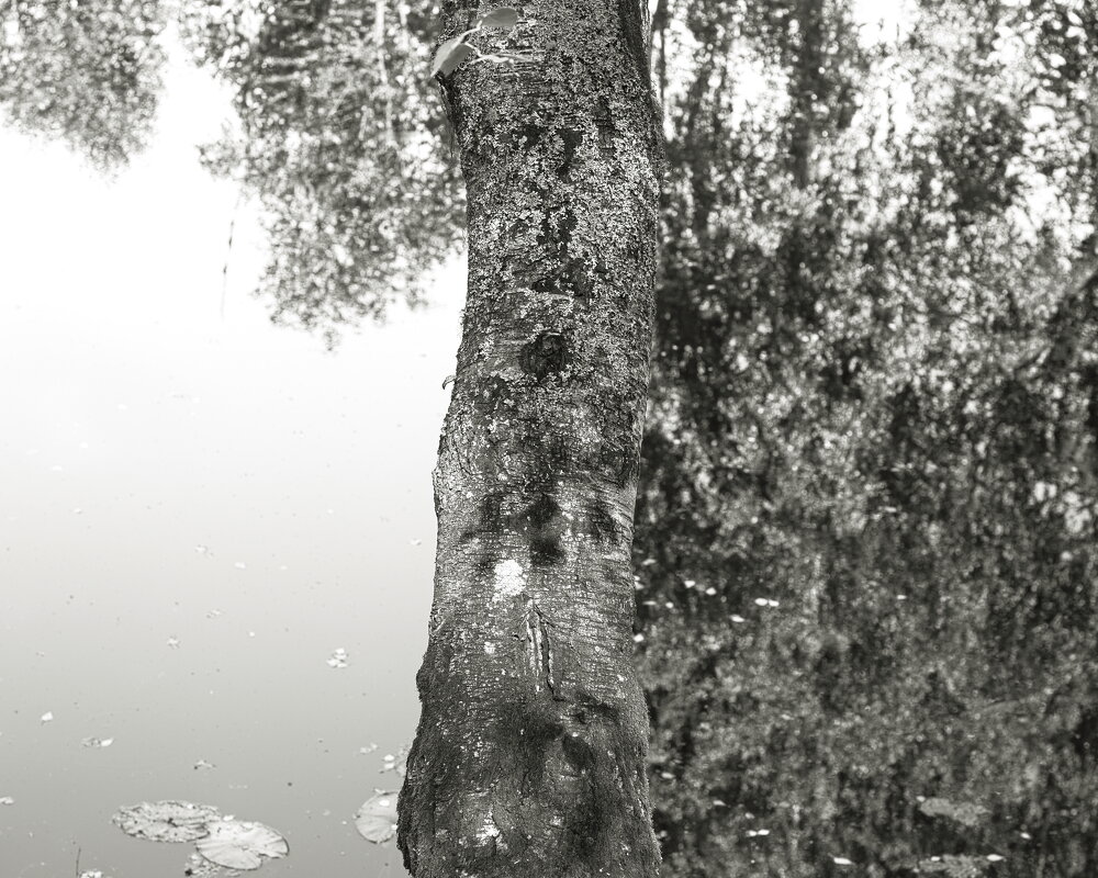 Фотография - Денис Безногов