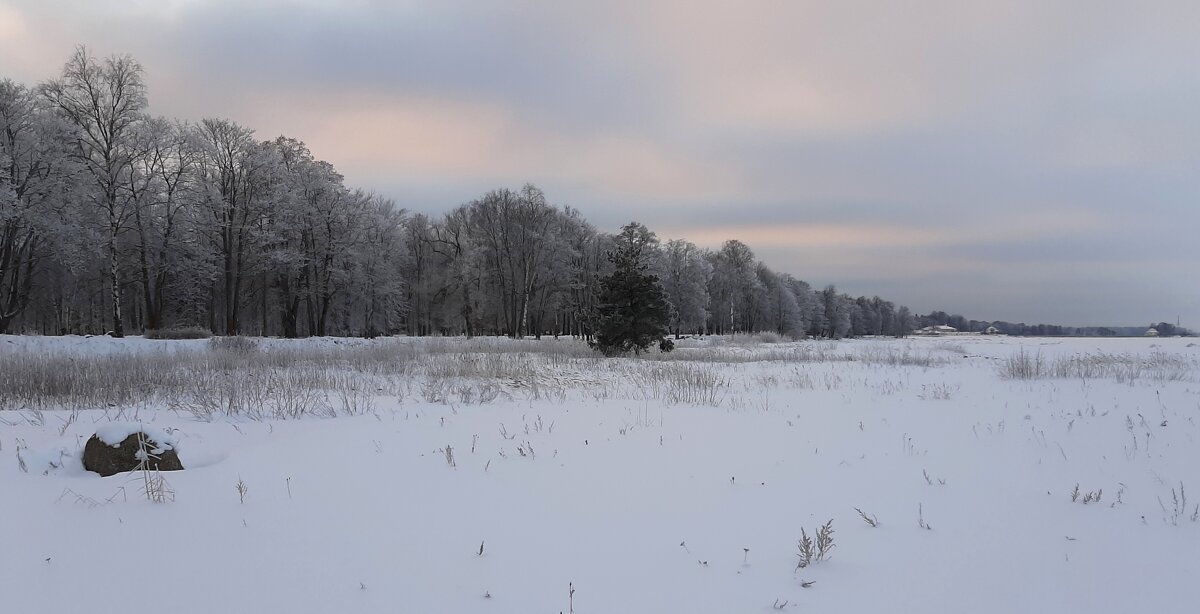 *** - Наталья Герасимова