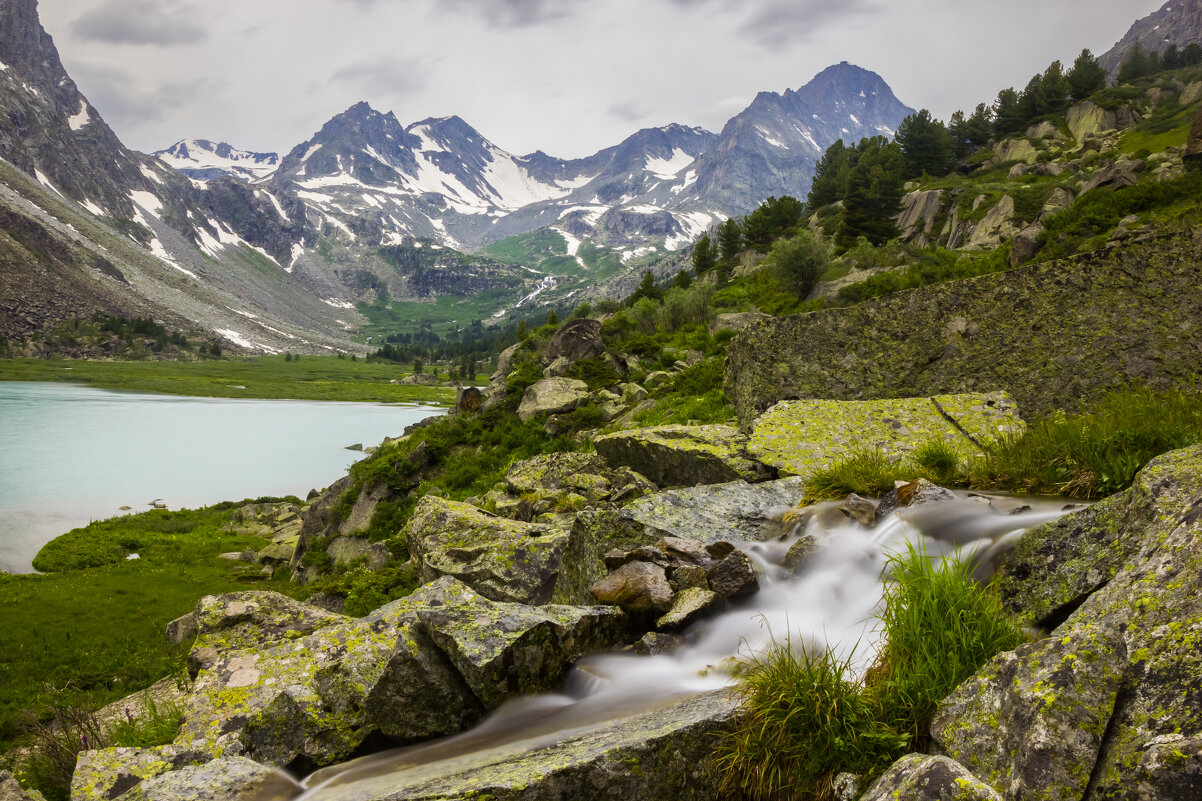 Приток - Алексей 