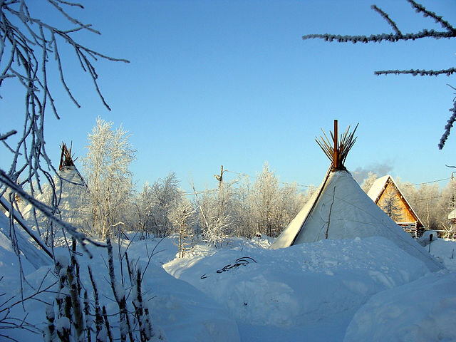 Горнокнязевск. Ямал - Tata Wolf