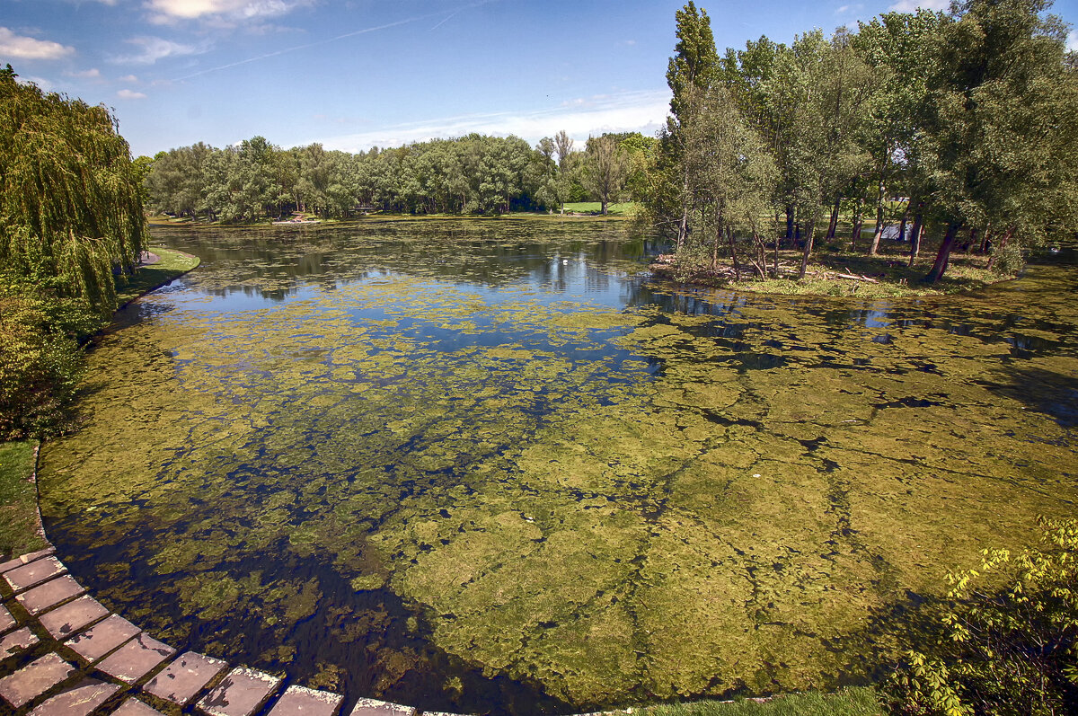 **** - Андроник Александр 