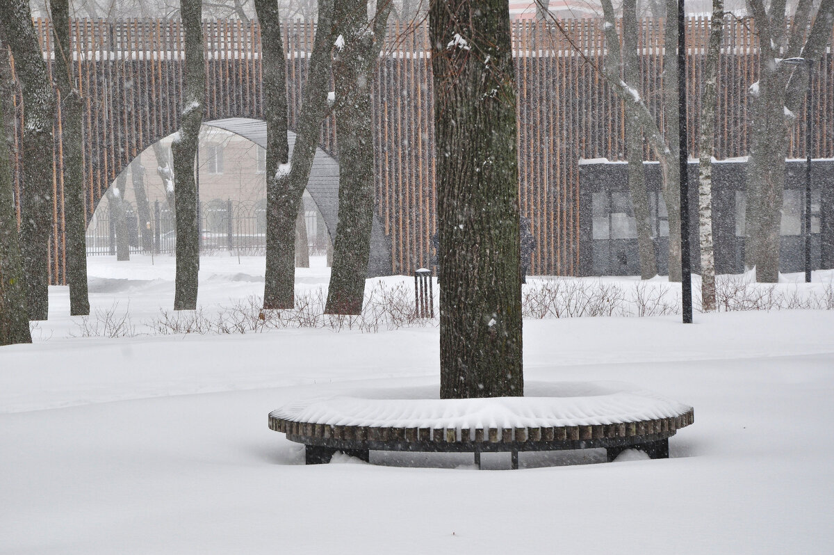 Снегопад в парке - Татьяна Машошина Снегопад в парке - Татьяна Машошина