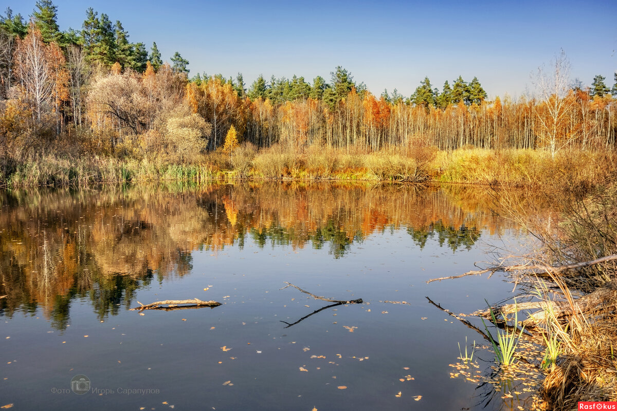 Отражение золотой осени - Игорь Сарапулов Отражение золотой осени - Игорь Сарапулов