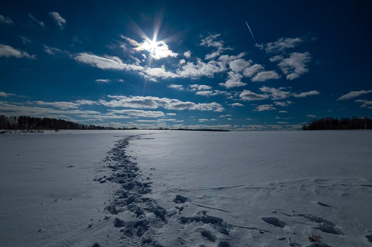 *** - Андрей Андрианов