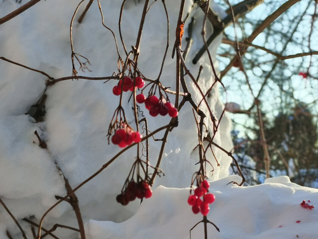 Февраль - Михаил Столяров