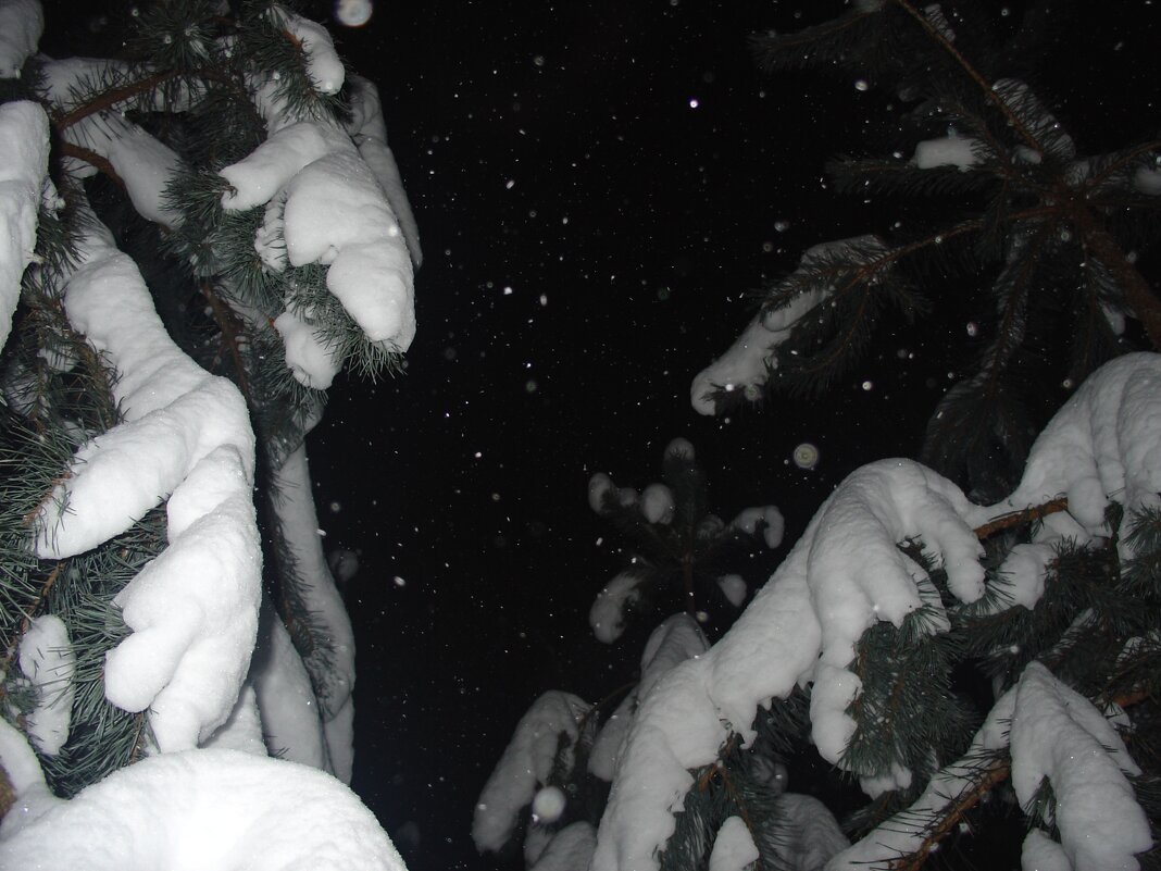 без названия - fogmeadowww m