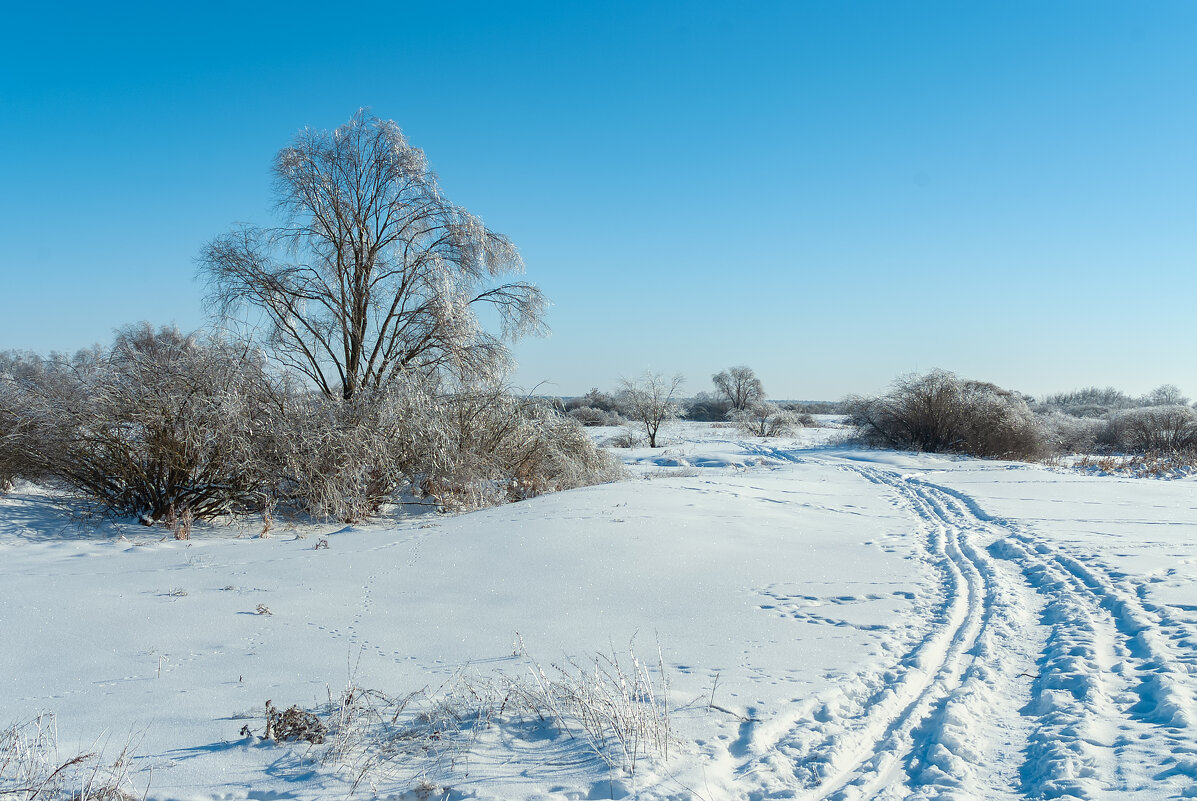 ... - василий 