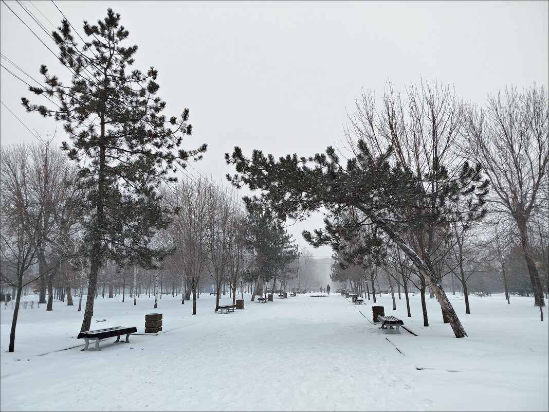Выпал снежок! - Надежда 
