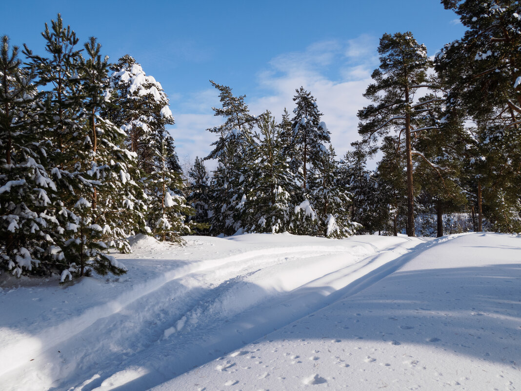 Санный след. - Николай Санный след. - Николай