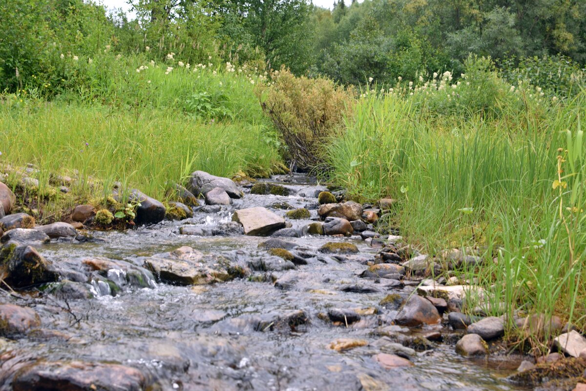 Ручей. - ВикТор Быстров
