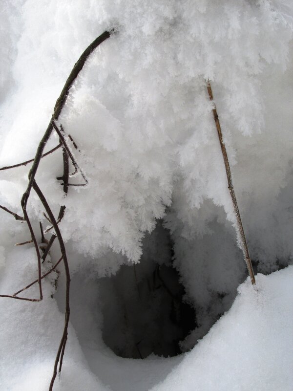 Не будить до весны... - Galaelina ***