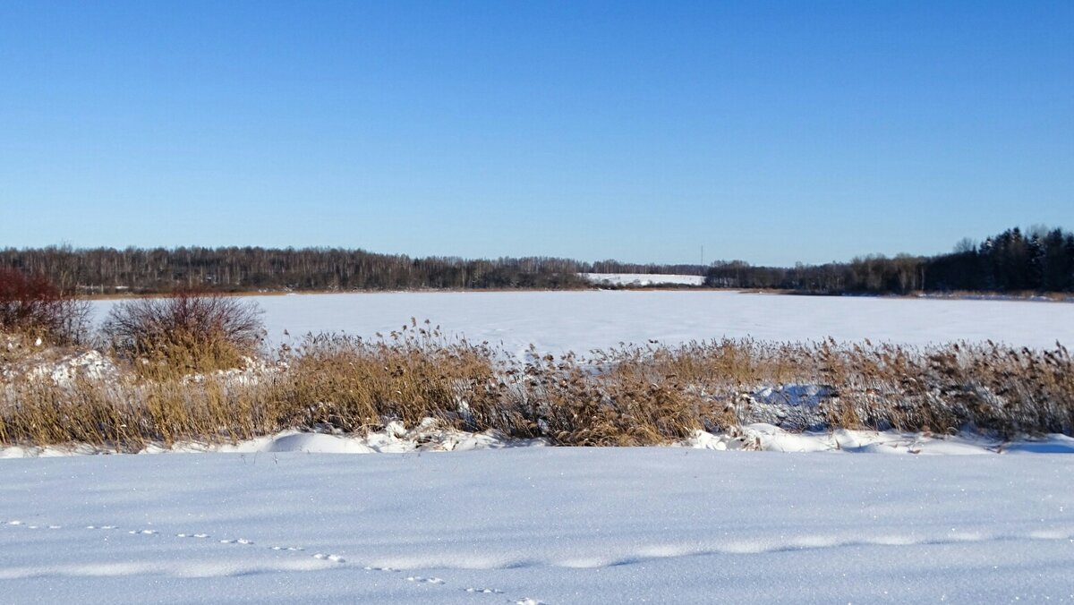 Про Смоленске озёра. - Милешкин Владимир Алексеевич Про Смоленске озёра. - Милешкин Владимир Алексеевич
