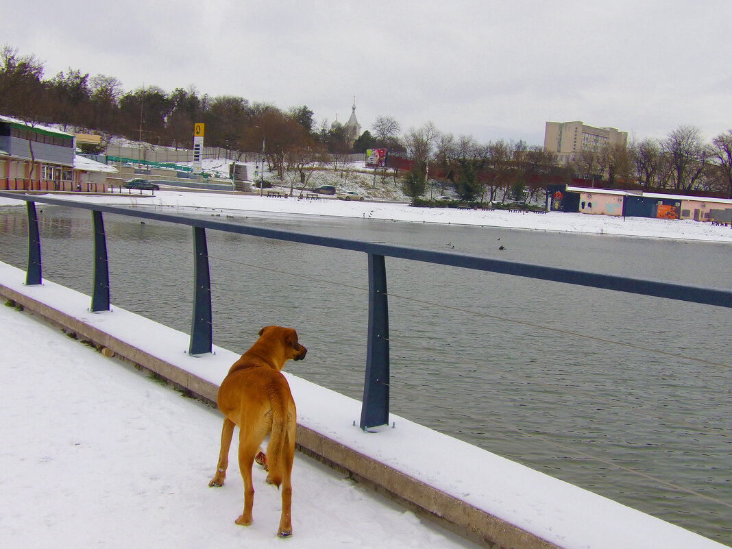 Охотничий  инстинкт - Валентин Семчишин