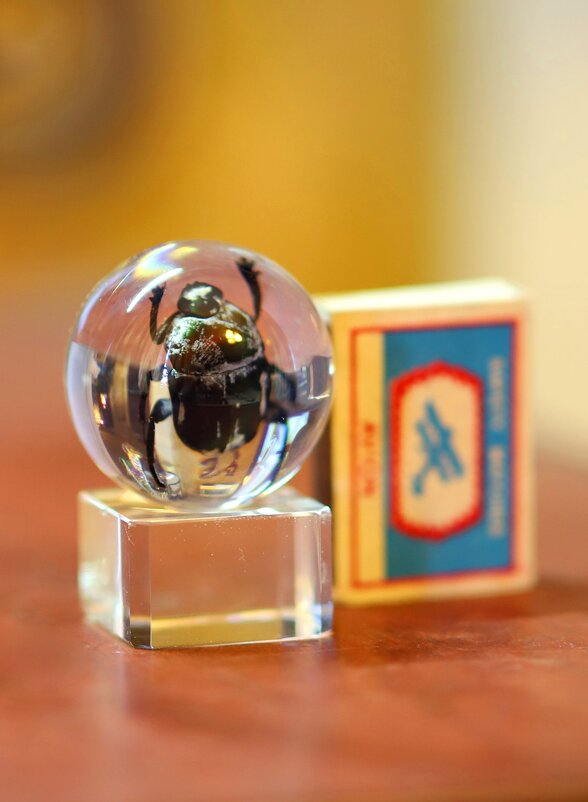 Z - Андрей Л. В.