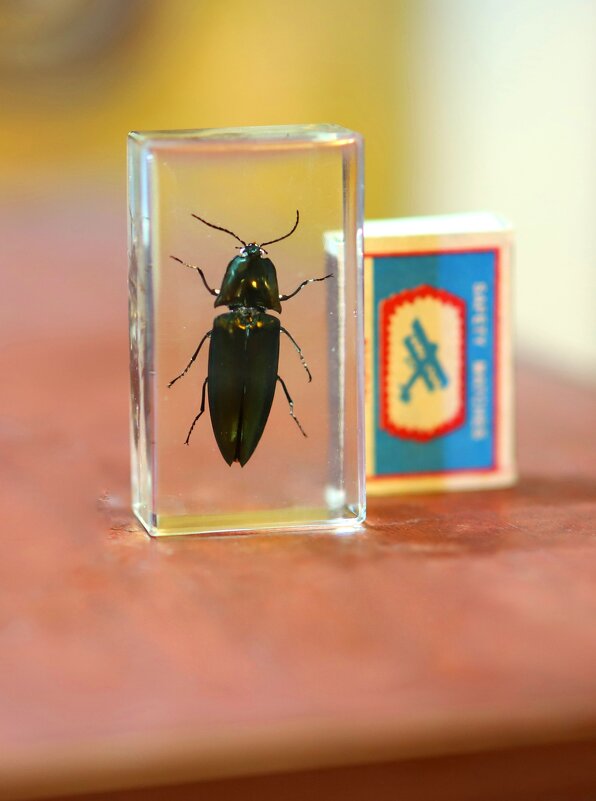 Z - Андрей Л. В.