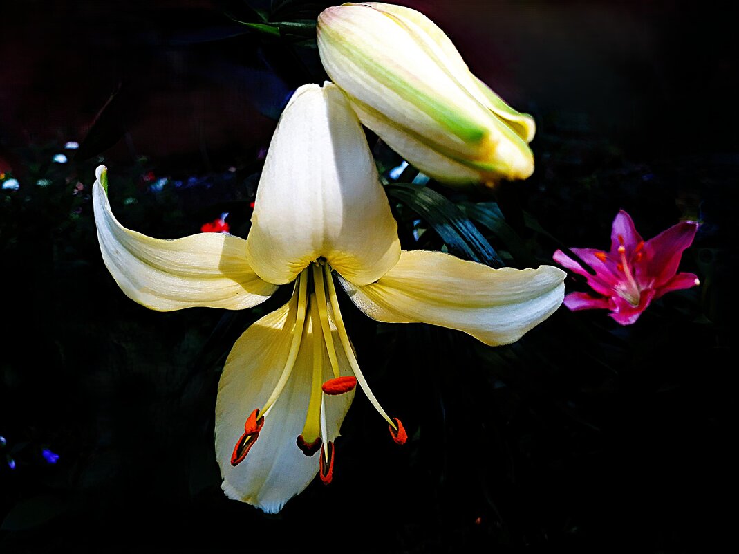 По утрам умываясь росой © - Hope По утрам умываясь росой © - Hope