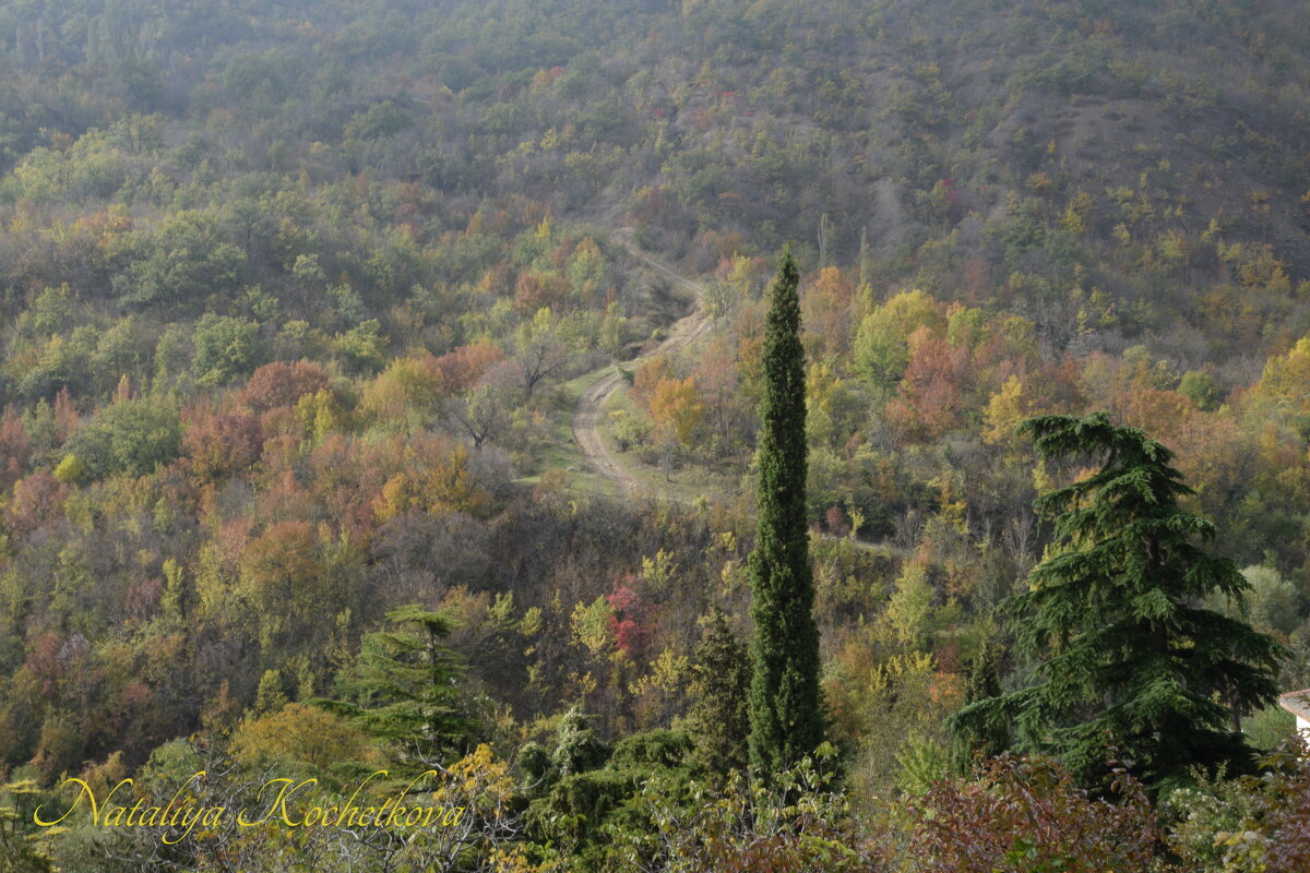 Природа Крыма - Amazing Cosmea Природа Крыма - Amazing Cosmea