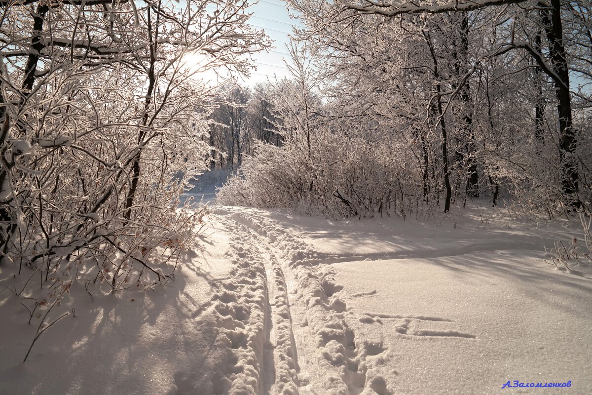 Свет февраля - Андрей Заломленков