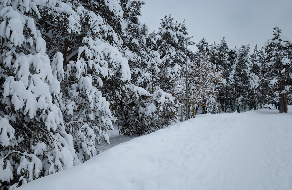 Зимний парк - Александр Синдерёв
