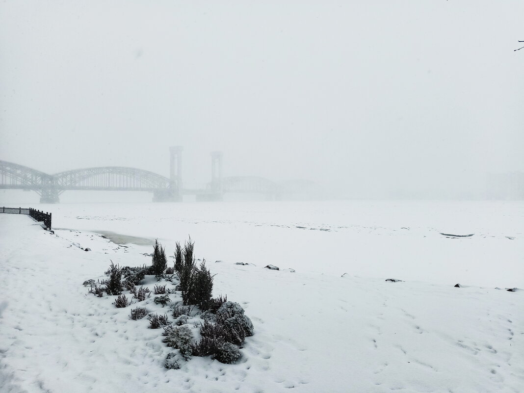 ТУМАН - Виктор Никитенко