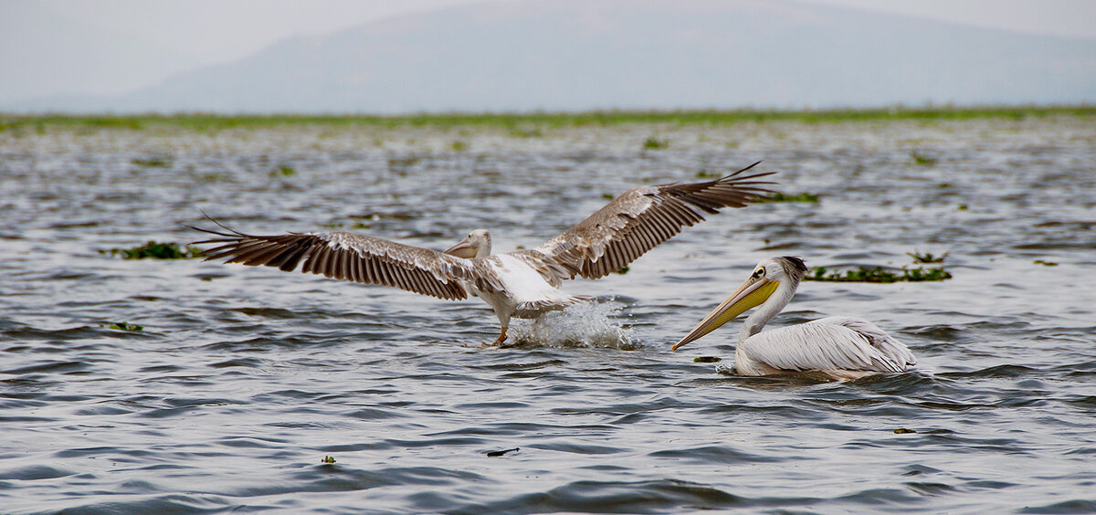 На взлет!!! - Ирина С