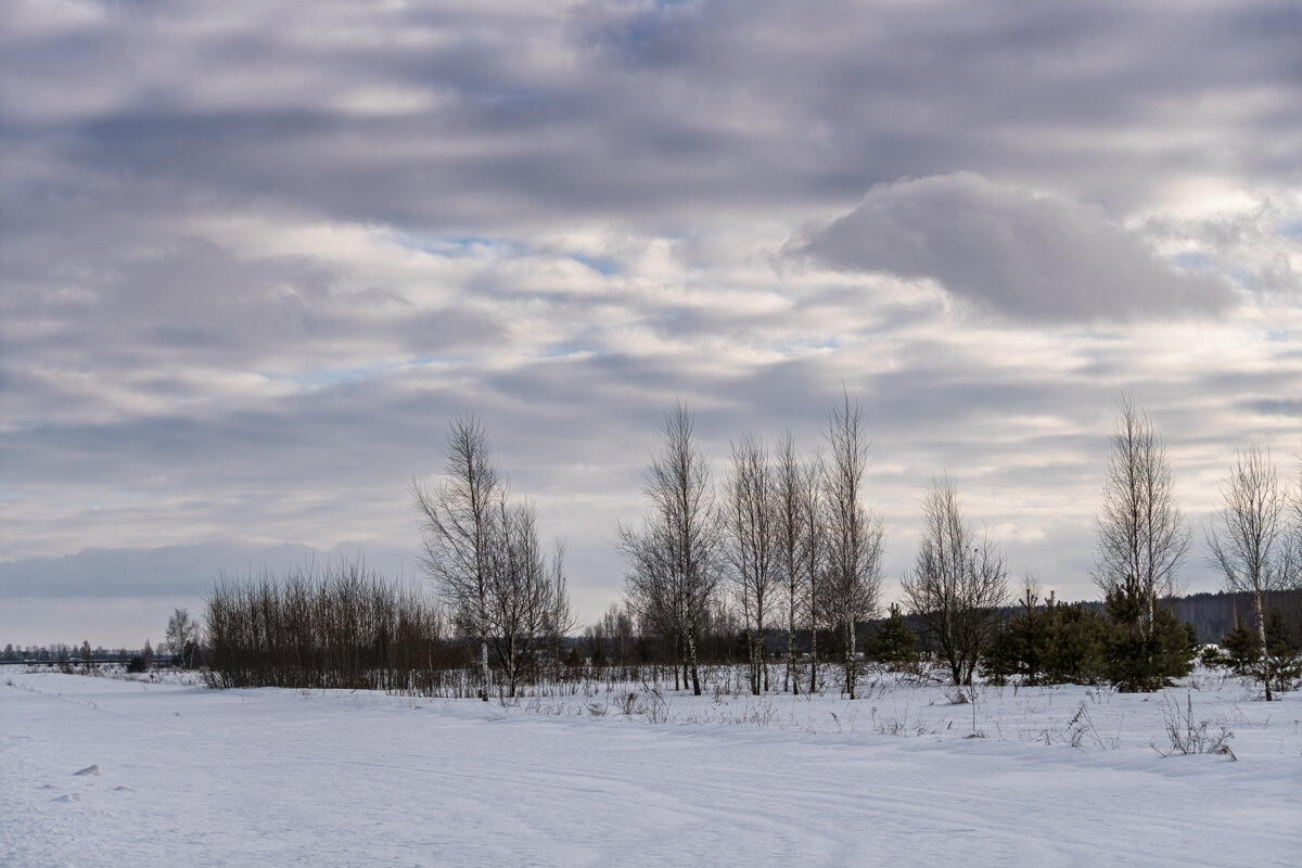 Ничто так не бодрит, как прогулка с фотоаппаратом на лыжах - Игорь Сикорский Ничто так не бодрит, как прогулка с фотоаппаратом на лыжах - Игорь Сикорский