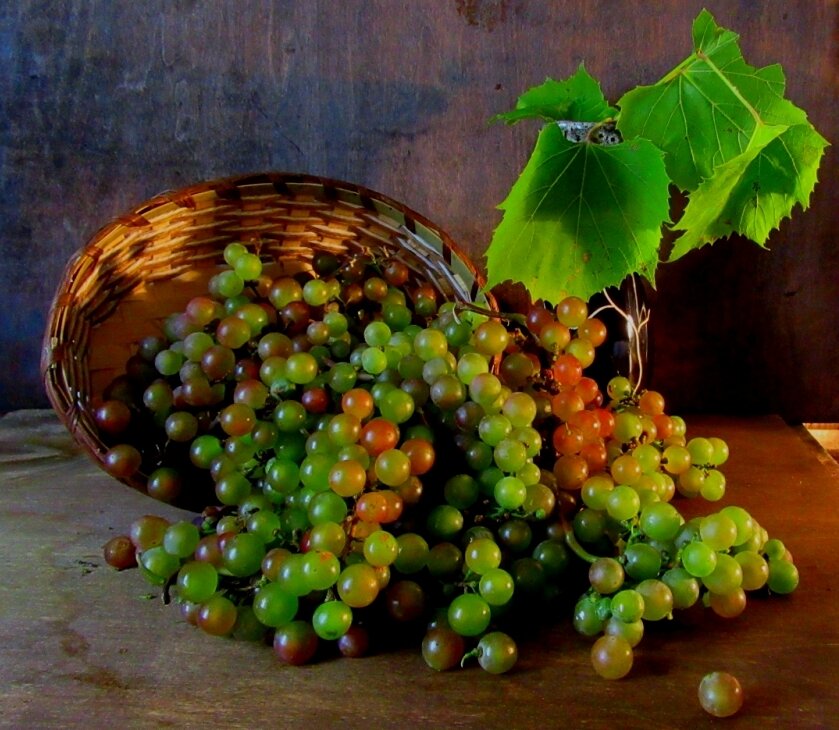 Про виноград... - Галина Кузьмина Про виноград... - Галина Кузьмина