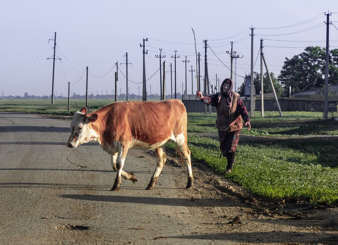 Каникулы в деревне - Надежда 