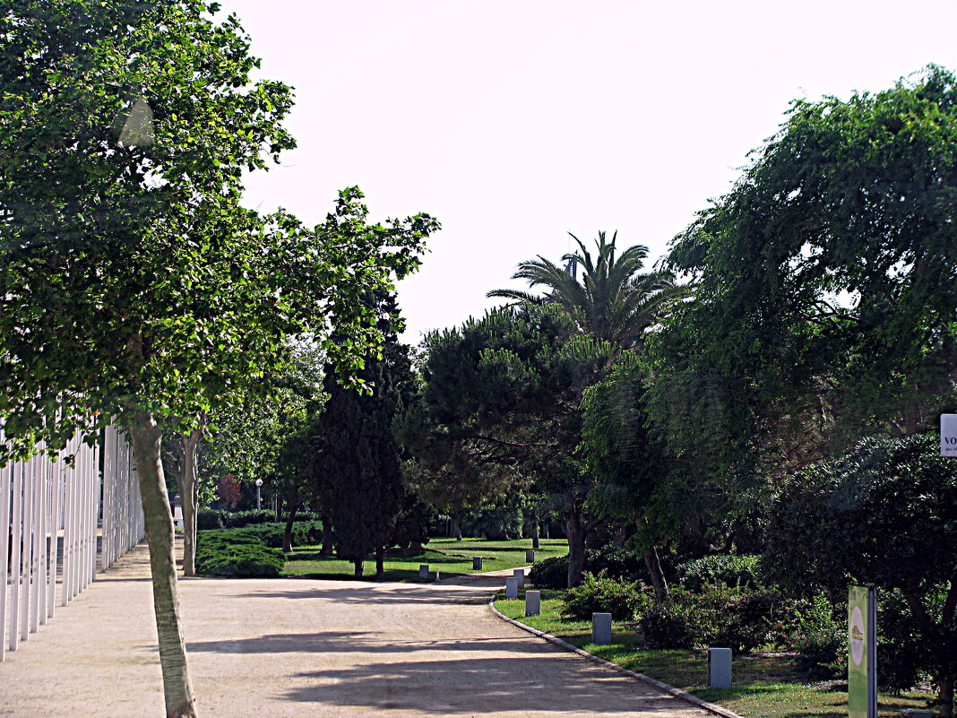 Барселона. - Владимир Драгунский