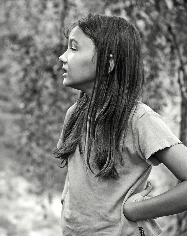 Из лесу вышла... - СЮ 