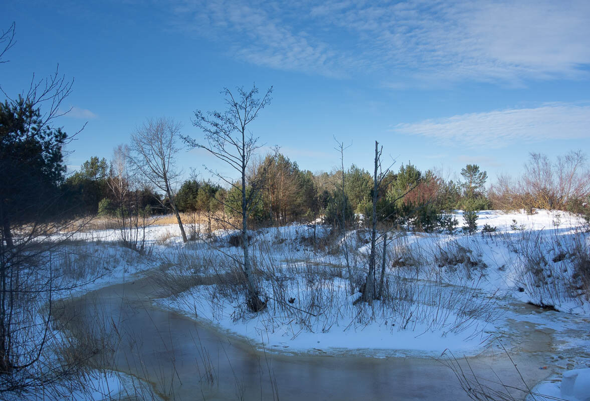 *** - Геннадий Порохов