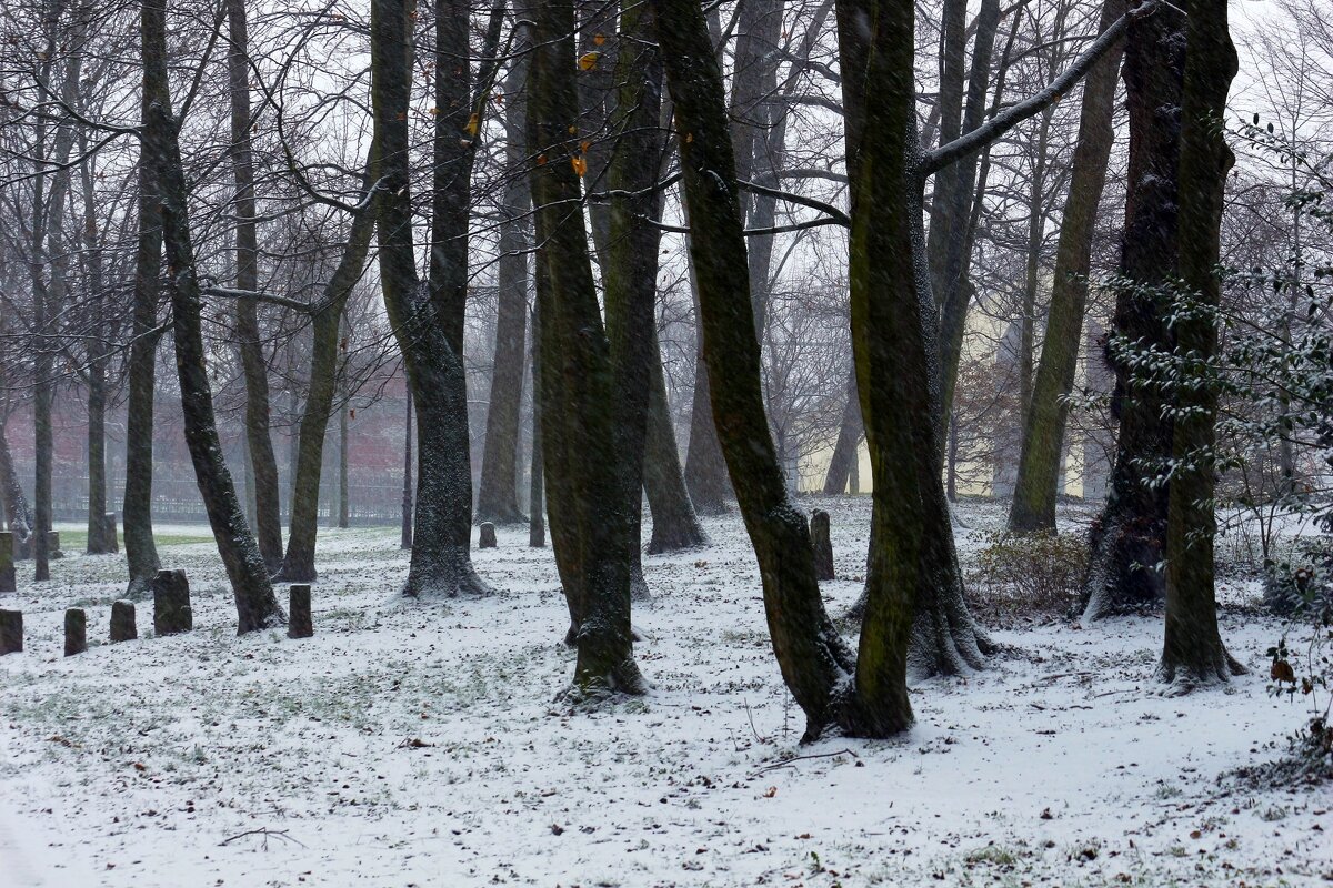 Припорошило - Юрий. Шмаков