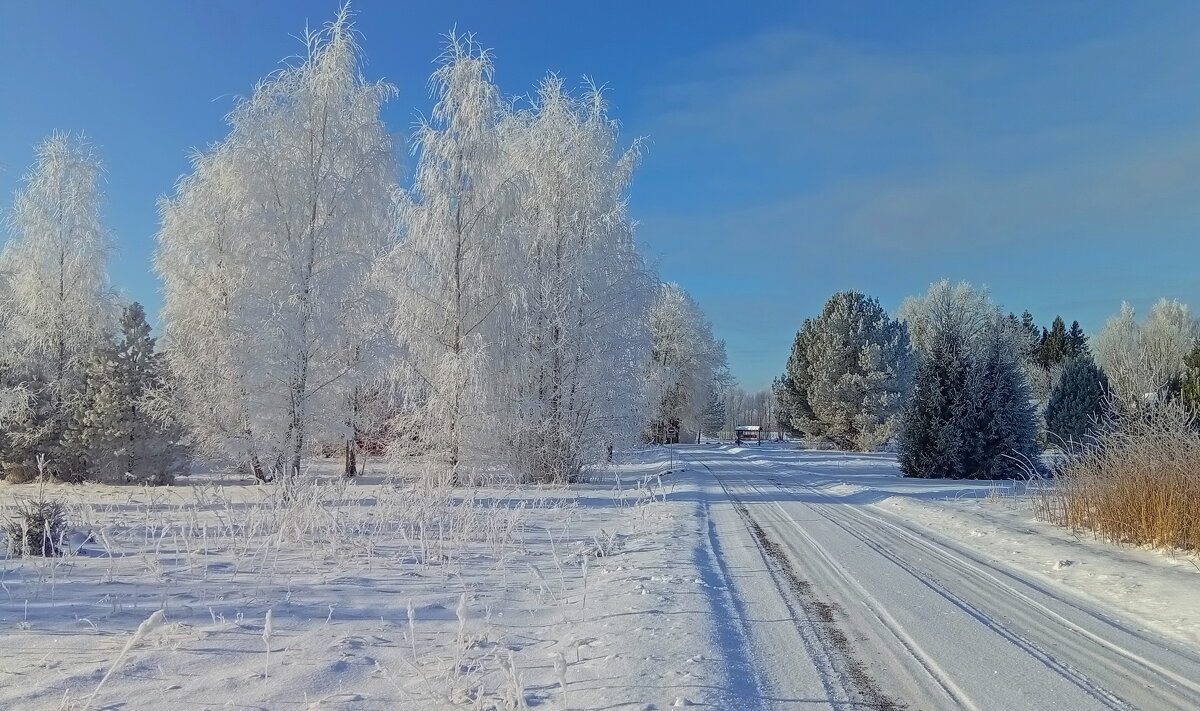 Красивый зимний день .. - Татьян@ Ивановна Красивый зимний день .. - Татьян@ Ивановна