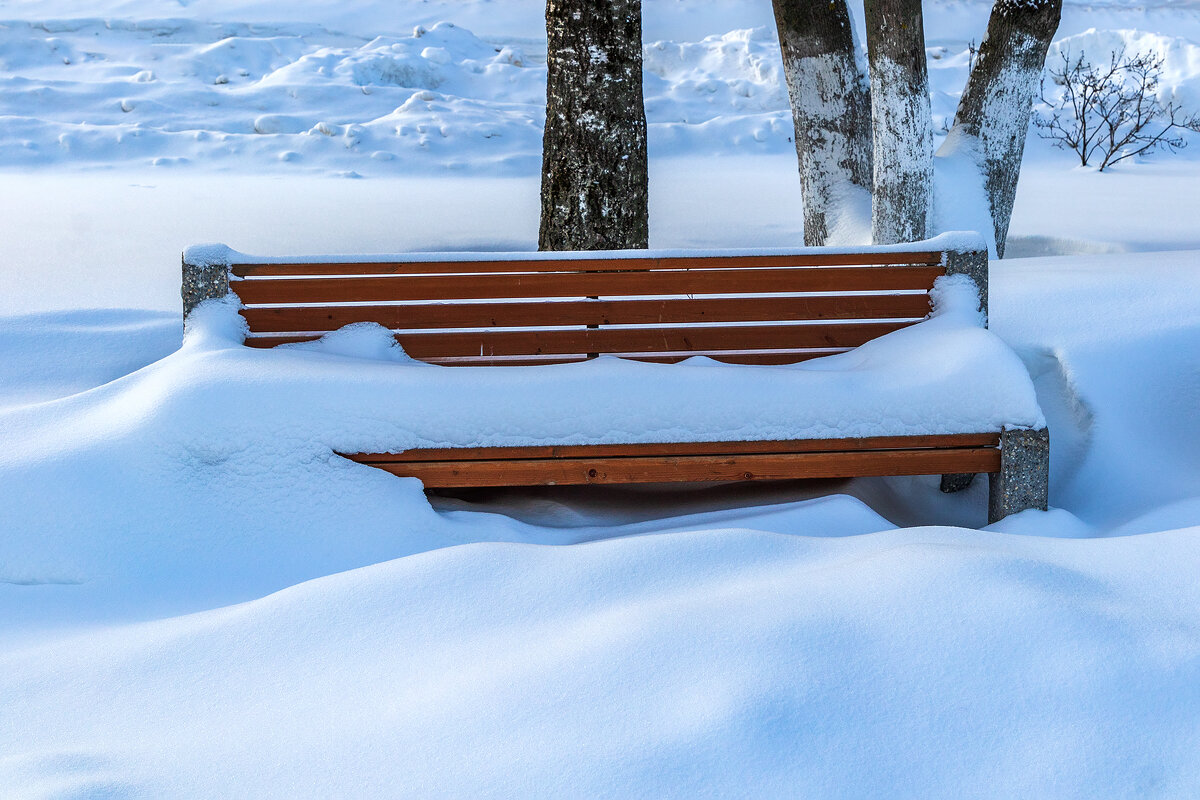 Зима расположилась на лавочке как хозяйка. - Анатолий. Chesnavik.