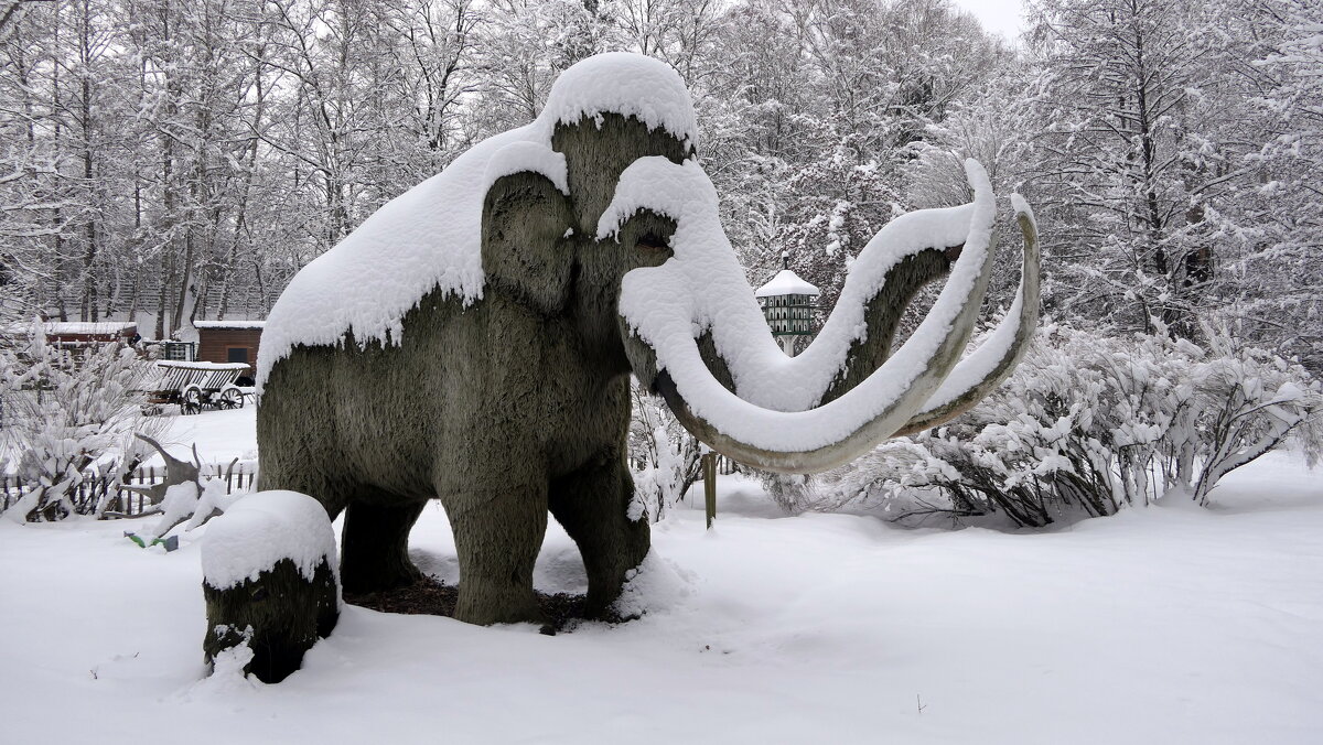 Снежок порхает, кружится, На улице бело. И превратились лужицы В прозрачное стекло... - "The Natural World" Александер