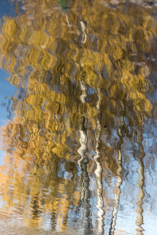 * - Сергей Полянский