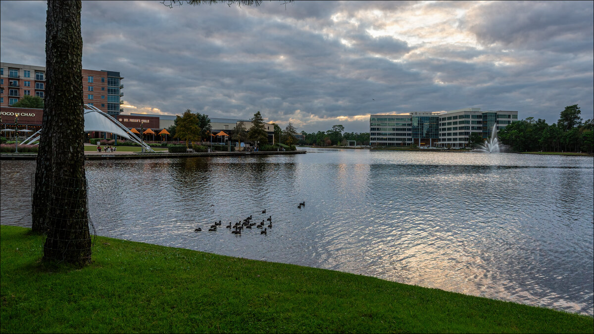 Озеро Lake Woodlands - **** vedin