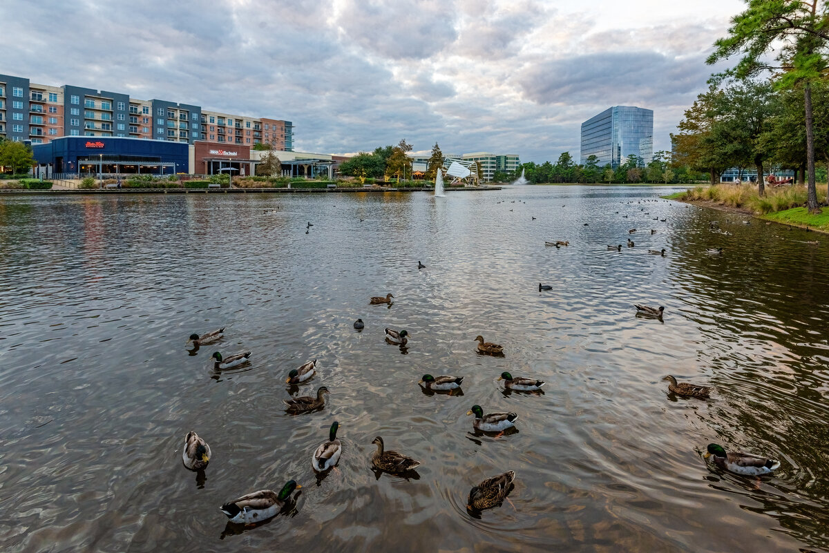 Озеро Lake Woodlands - **** vedin