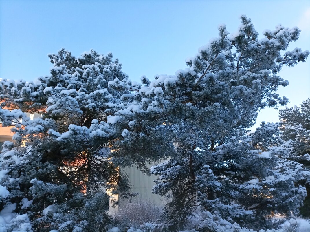 В парке Тондилоо - Veera V В парке Тондилоо - Veera V