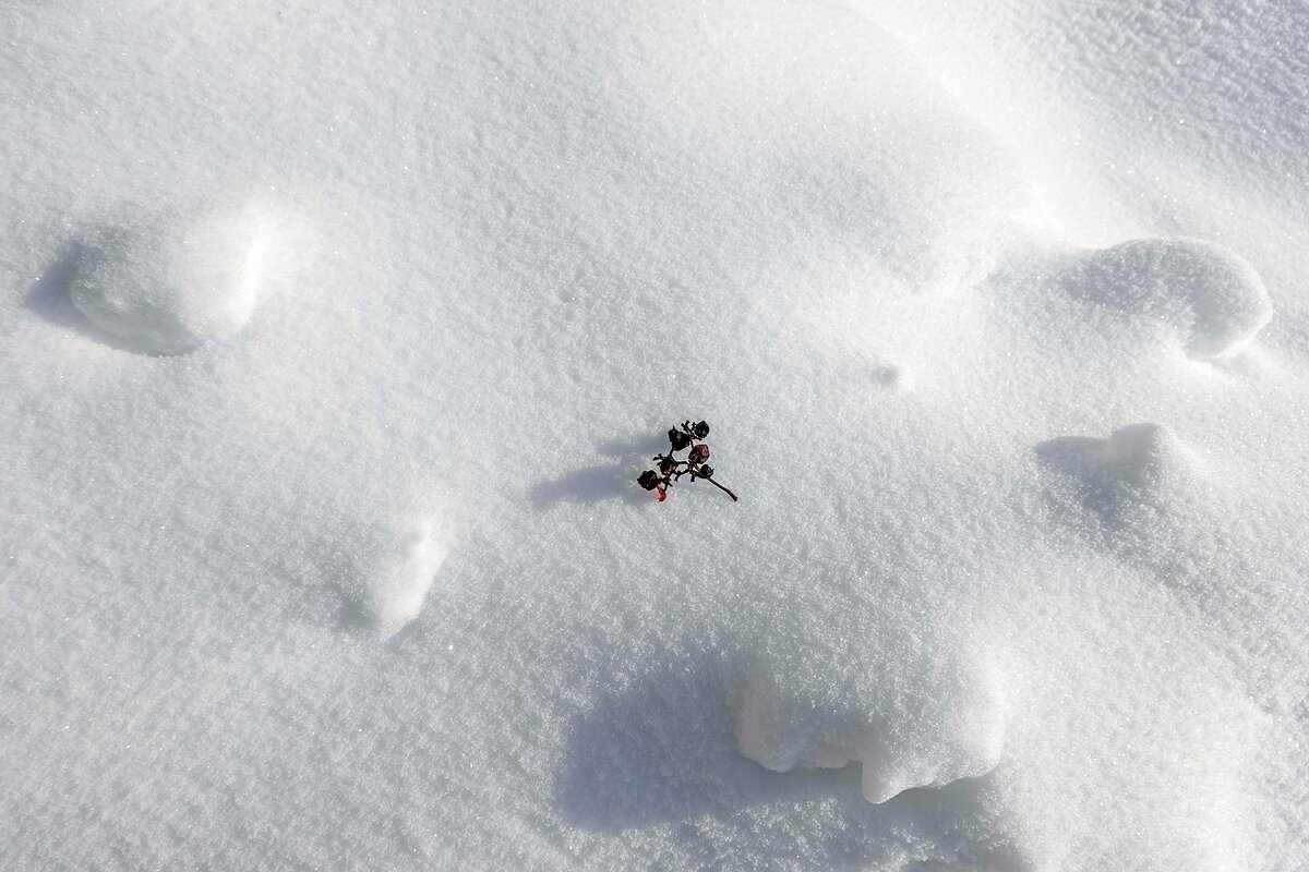 Снежный этюд - Валерий Иванович