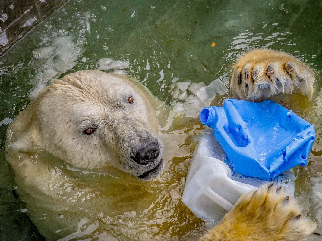 КАЙ - Аркадий Лаптенко