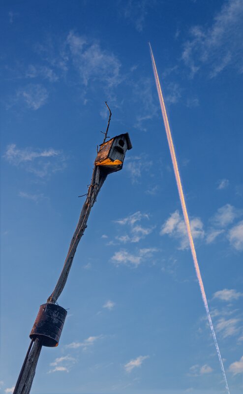 Скворечник и ... - Сергей Анатольевич Панфилов