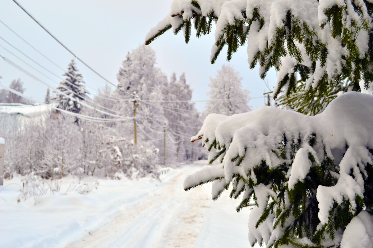 Зииняя дорога - Ольга 
